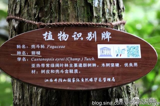 水口景区小记（江西之旅第八十八篇）