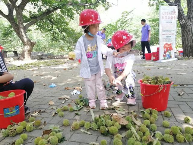 致苏、冀、豫、皖、晋的友友们：这个九月，天蒙景区为你“免单”！