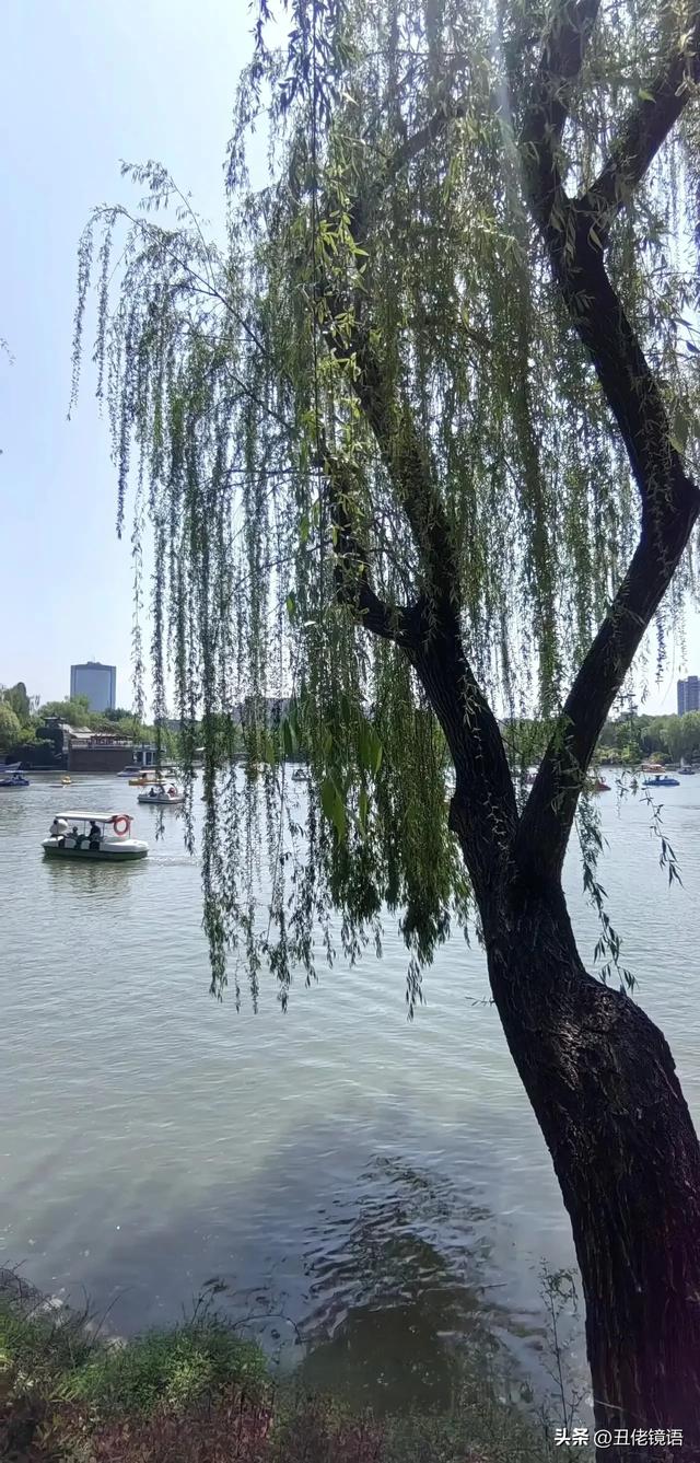 自拍影集（30）紫竹院公园风景绿水轻舟·上