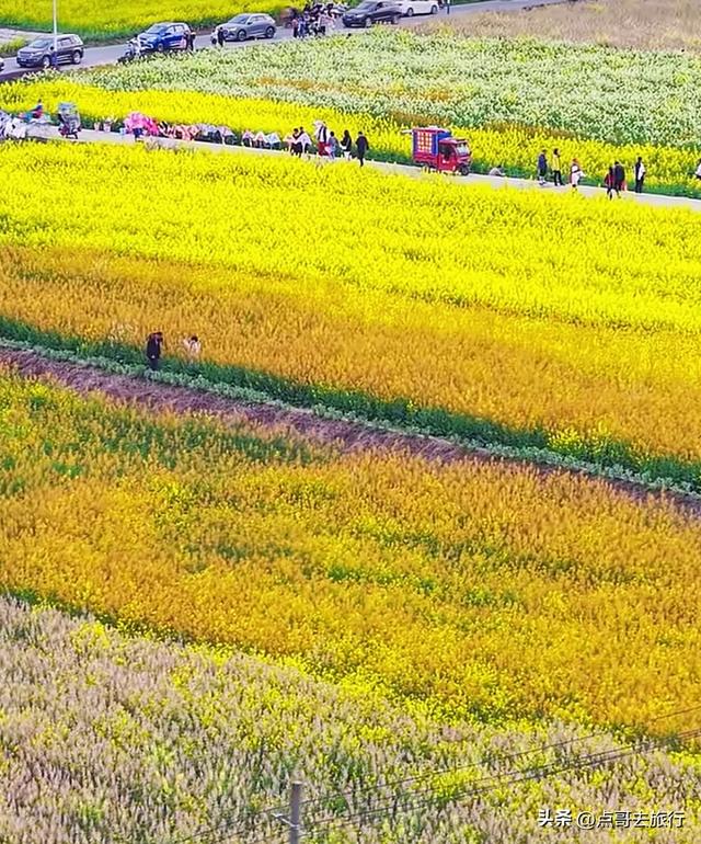 今天朋友圈的C位，成都限定的浪漫和震撼，错过了真的要等一年！