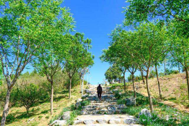 2025暑期特别企划之来石景山「 一起逛公园 」