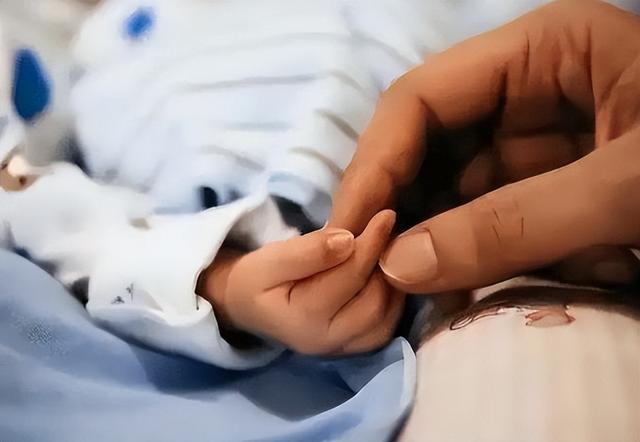 全国出生人口断崖：21年1062万人	，24年954万，25年令人意想不到