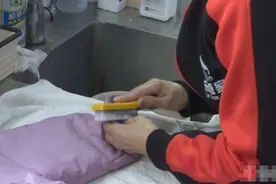 教您一招：这样清洗羽绒服 它不会“发脾气”图片