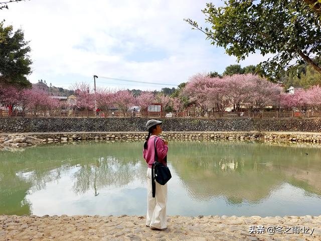 土楼拾光③:梅林古镇(2025.2.11 漳州·南靖)