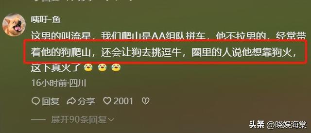 五台山游客被牛顶后：队友爆料，故意让狗挑逗小牛，当事人发声