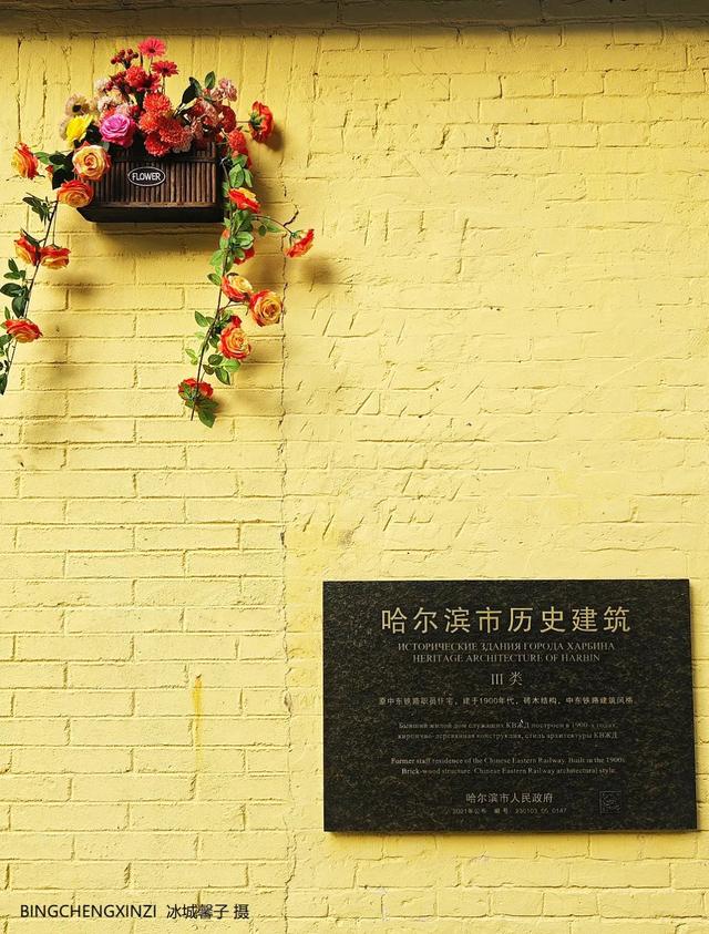 徜徉花园街区：与哈尔滨的温柔时光重逢
