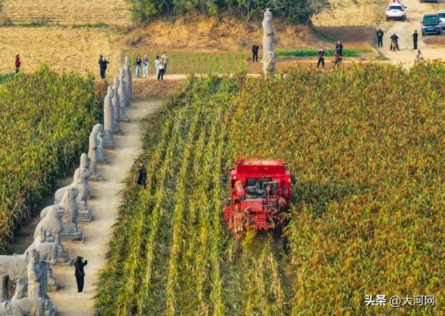 来这里，解锁千年的“限定秋色”！