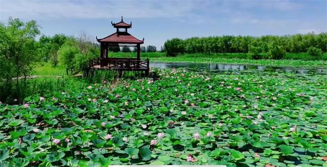 扎赉特旗：以生态为底色，绘就农文旅融合新图景