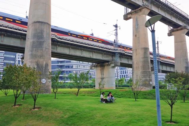 三条高铁并行！桥下还有“宝藏”，等你发现！