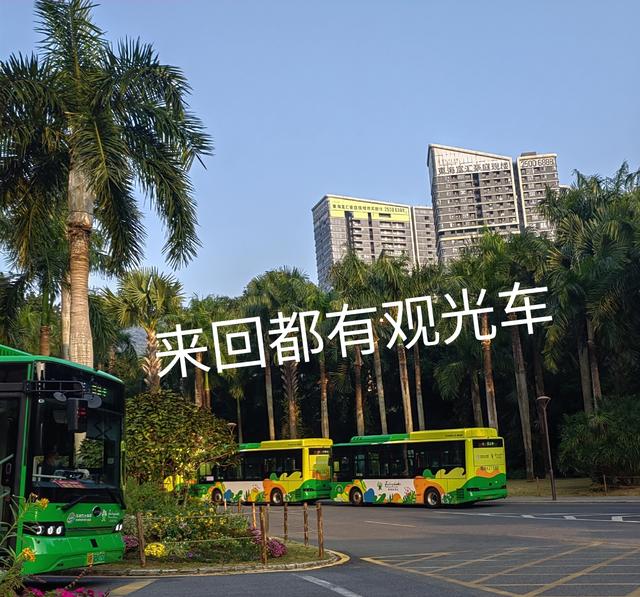 老年人的生活就是这样