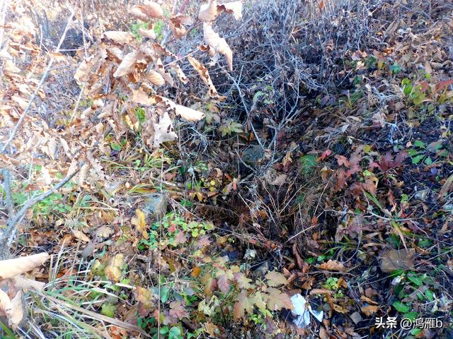 明长城本溪段全程探寻