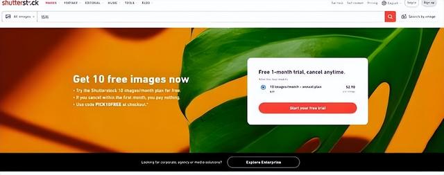 精选5个卡通动画风格素材下载网站，助力创意绽放
