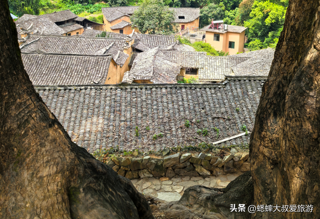 拥有600年历史的浙江名村，秋天美成画，待几天，可将生活过成诗