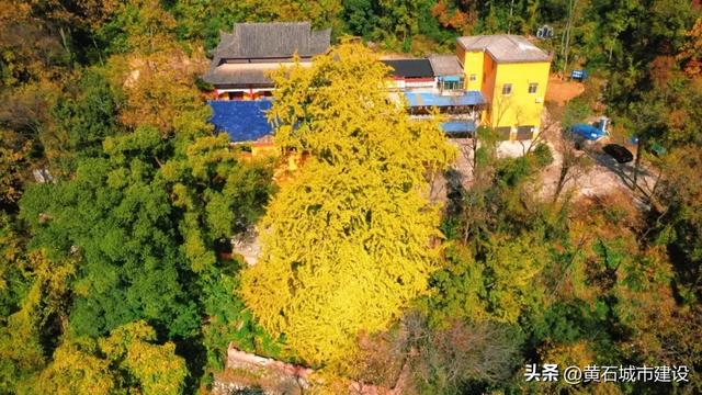 限时绝美！黄石街头颜值巅峰 周末来打卡