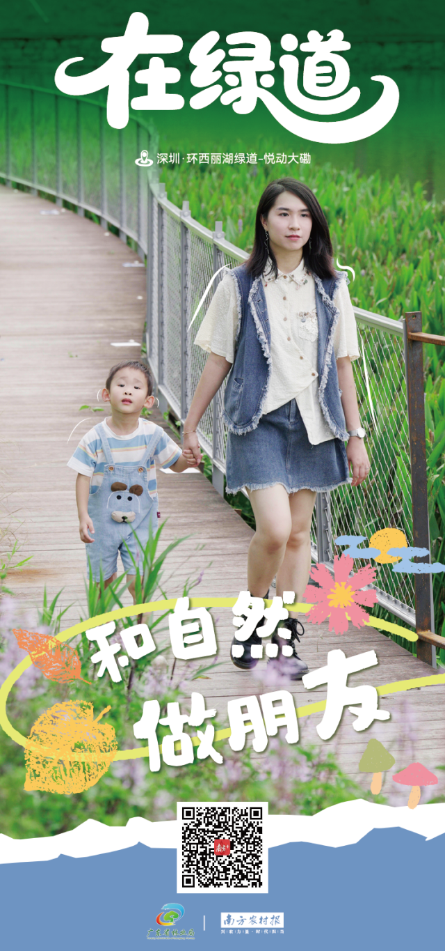 环西丽湖的绿道奇遇记 | 寻美南粤⑤