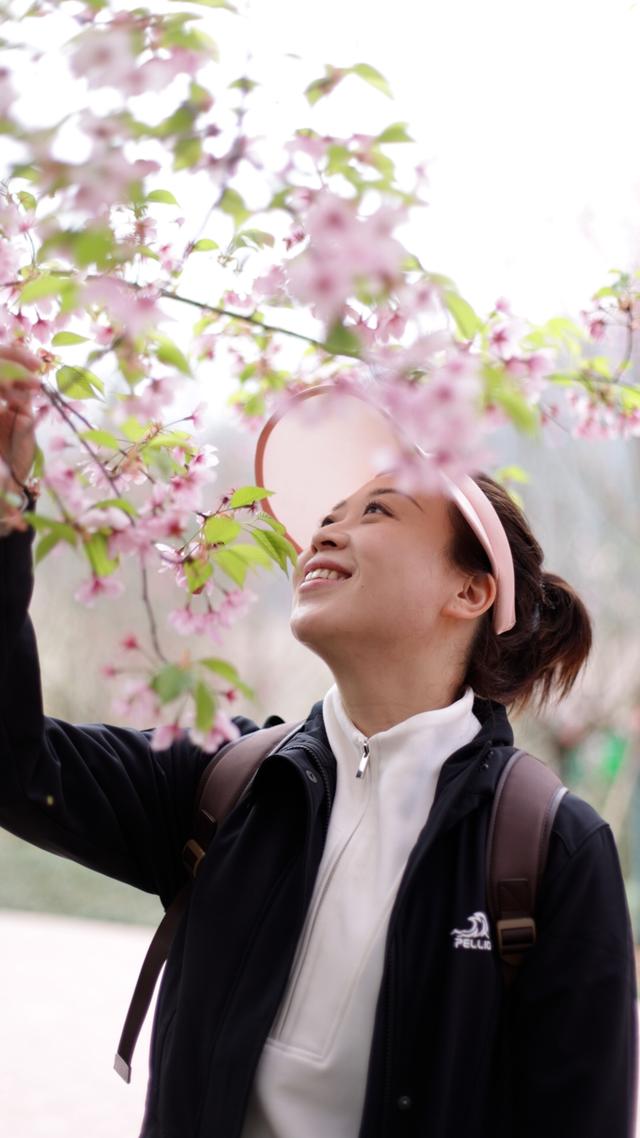 色彩斑斓的樱花，藏在柏林古镇的春天里