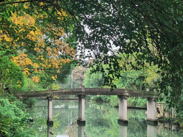 更年期小阿姨的胡同漫游