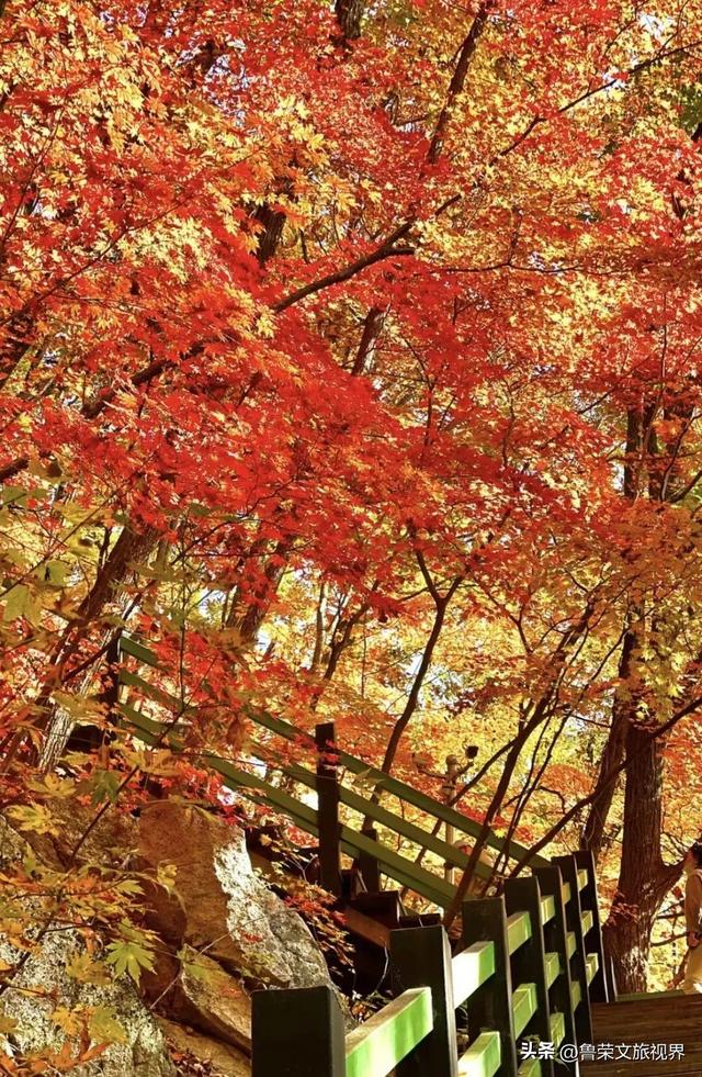 本溪：北国红枫深处的诗意秘境