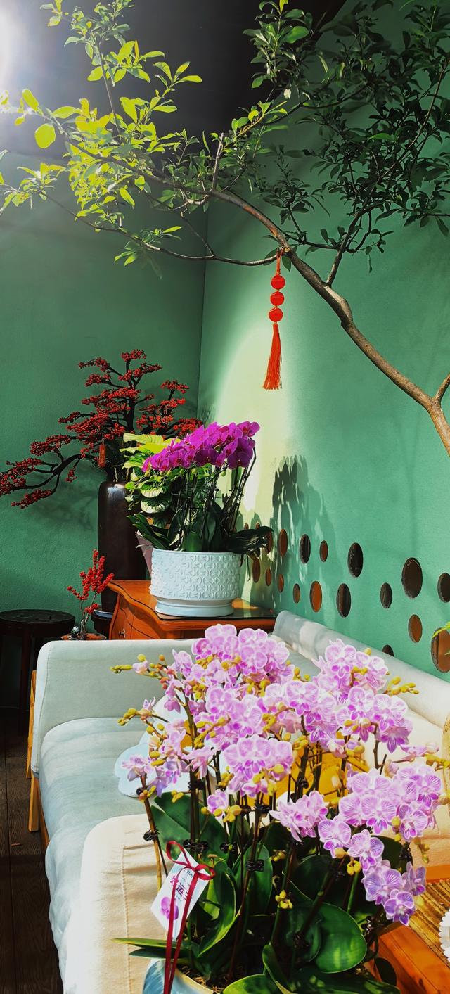 藏在秦岭花世界里的「森系秘境花店——花缘集」，来了就不想走！