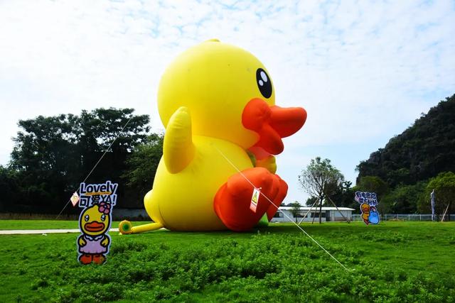 桂林:小黄鸭飞进桂海晴岚!
