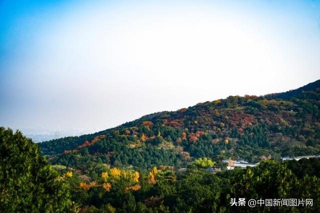 香山红叶节圆满落幕 接待游客超过85万人次