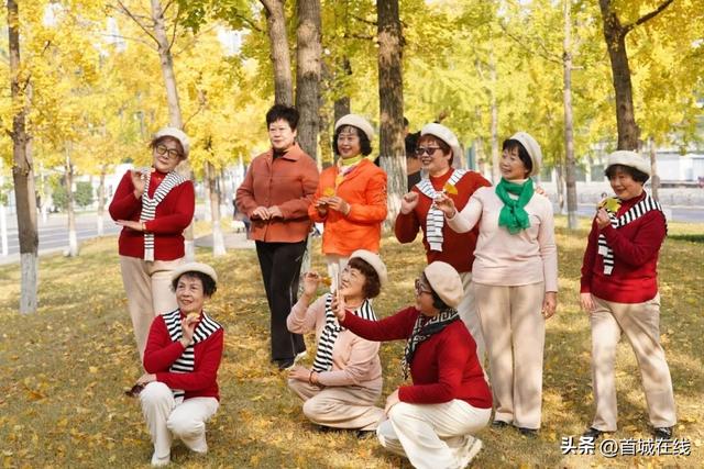 错过等明年！宜宾今年宝藏银杏打卡地合集在这里