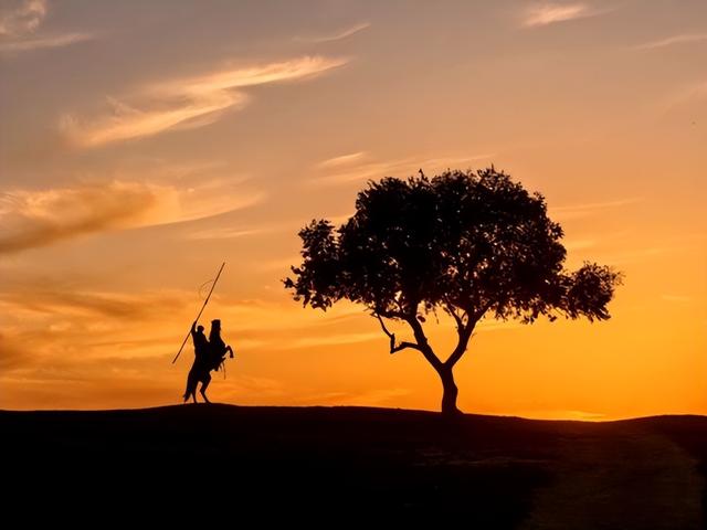 “把全世界的美都浓缩在这里”，这场年终大展惊艳了2025最后一个周末