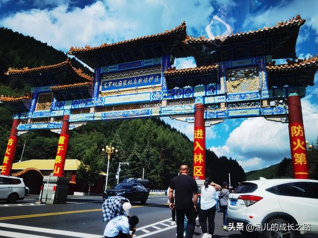 总要去趟草原吧！自驾塞罕坝和乌兰布统超简攻略（附图超全）