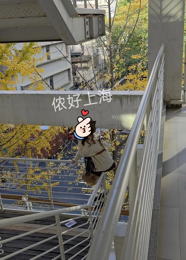 出片率100%！上海人都在找这个“限定露台”！这条“银杏大道”好拍又好吃！