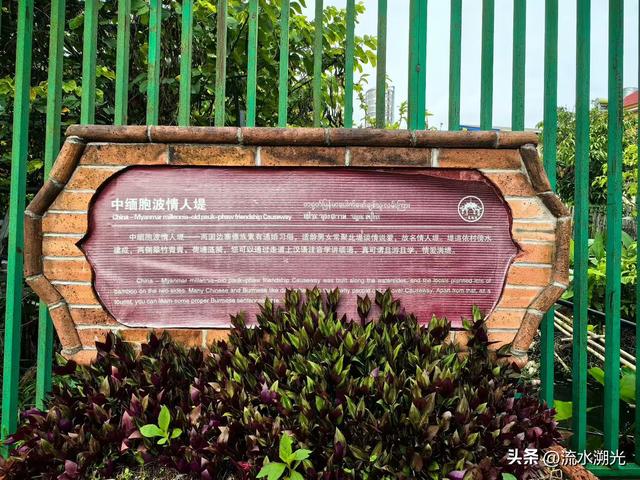 边墙上的菩提：瑞丽“一寨两国”文化手记