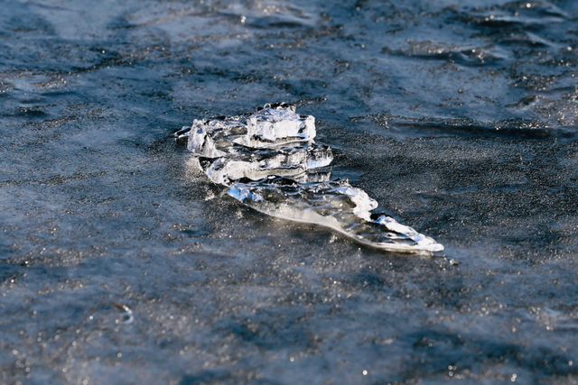 长春惊现“龙鳞”！绝非人工