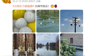 与女演员分享同一碗汤圆被疑有恋情，张晚意工作室紧急辟谣：单身！图片