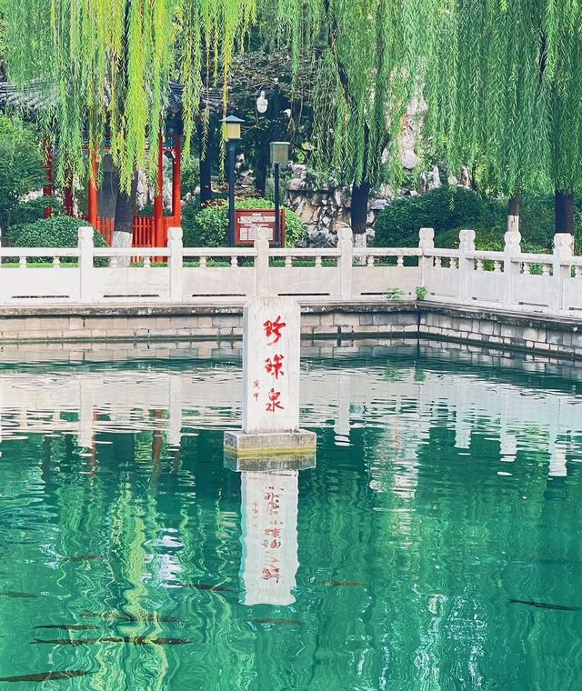 老友相伴赏清泉