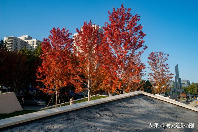 在正太广场，捡一片秋，装下整个城市的温柔！