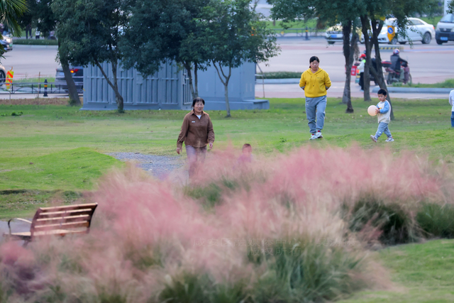 组图：深秋粉黛 邂逅城中小浪漫