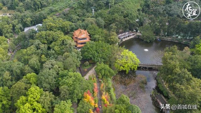 大面积改造！再见宜宾流杯池公园