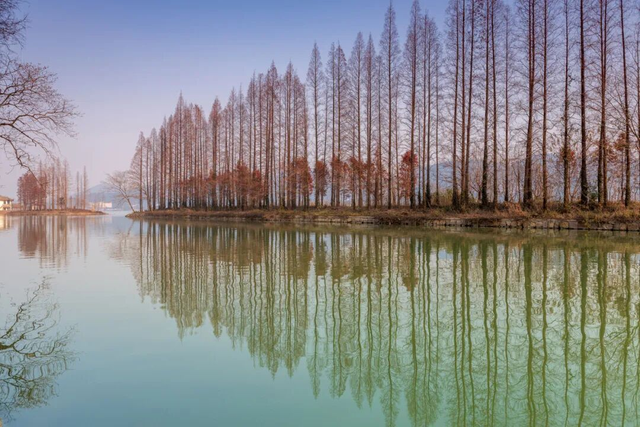 杭州秋冬的“多巴胺”美景来啦～