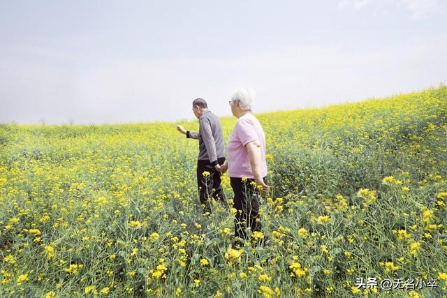 为啥这么多老年人明知跟团会挨宰，也不选择自由行，原因令人心酸