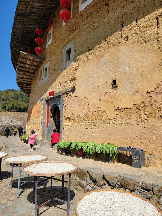 土楼拾光①:福建土楼景区——田螺坑片区（2025.2.9 漳州·南靖）