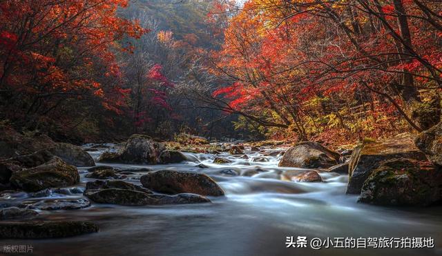 本溪十月赏枫实测攻略！“中国枫叶之都” 交通 + 景点 + 环线不踩坑