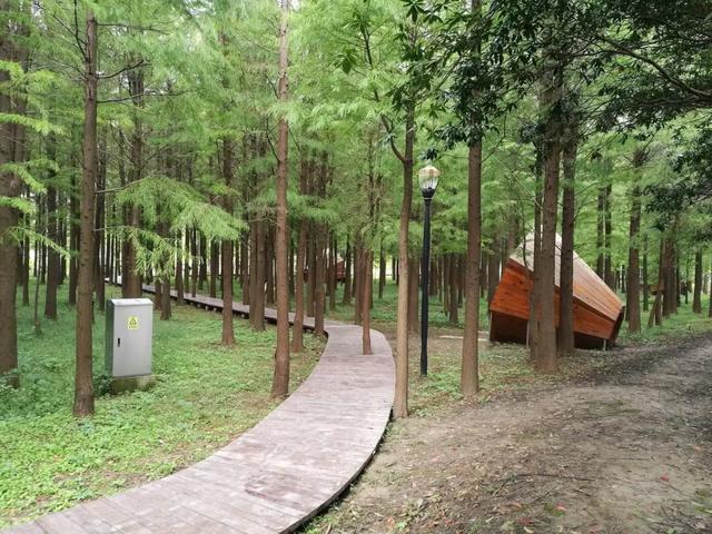 都市绿洲,童话秘境:上海浦江郊野公园完全探索指南