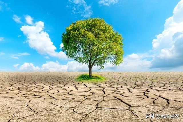 “最怕八月初一雨淋头″，今日八月初一，有啥可怕的？答案来了