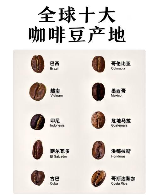 咖啡的故乡是哪里？