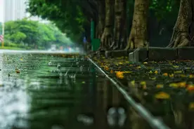 “五一”假期第二天，山东半岛等地有小到中雨，影响部分航班运行图片