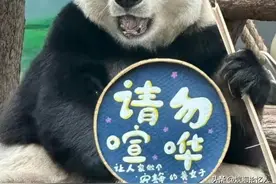 重庆3女子围殴女孩后续！扯衣服踹头，打人者被扒，还在卖水果图片