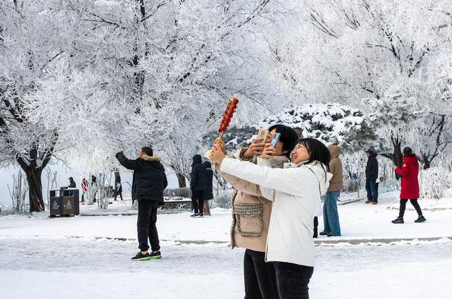 小雾凇岛迎绝美五星雾凇 配套升级打造舒心冬游地