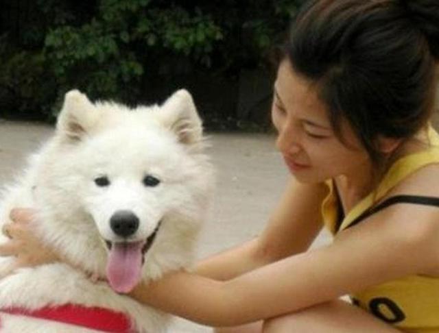 女子和狗狗同吃同睡，6个月后肚子胀痛去医院检查，结果不尽人意
