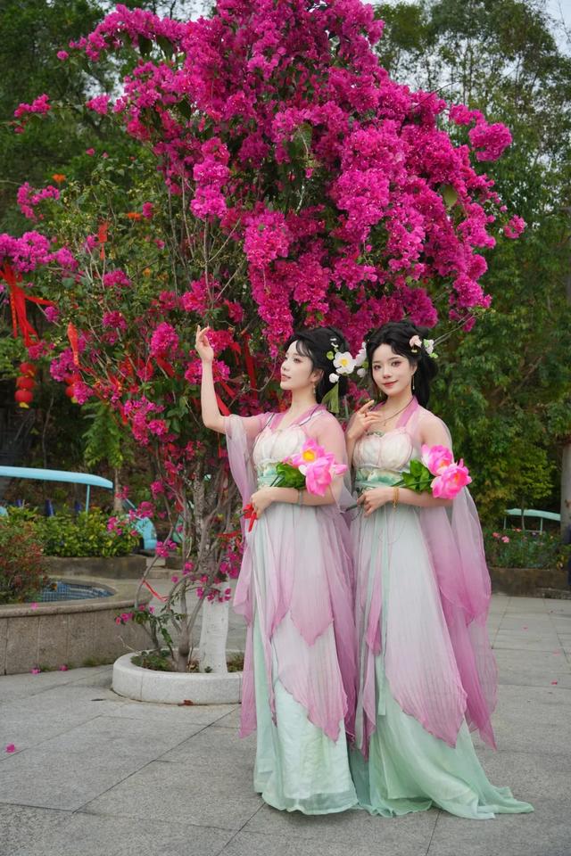 春风有信,木棉花开有期!在东莞观音山,找到了春天热烈的模样!