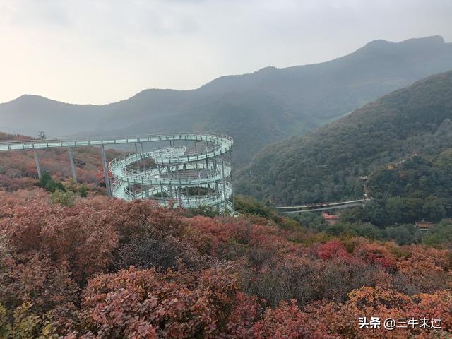 无为在歧路，柿岩之红叶