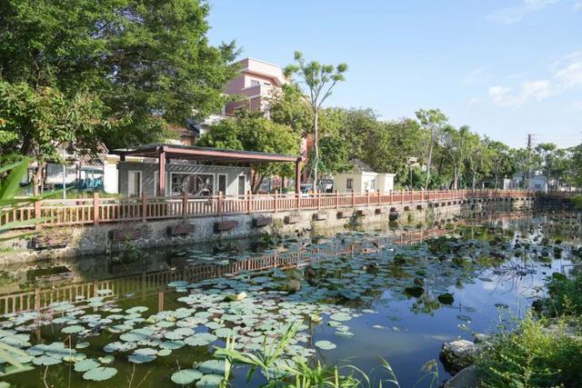 速来打卡！东莞万江这个新晋网红地：“起龙文化+生态美景”